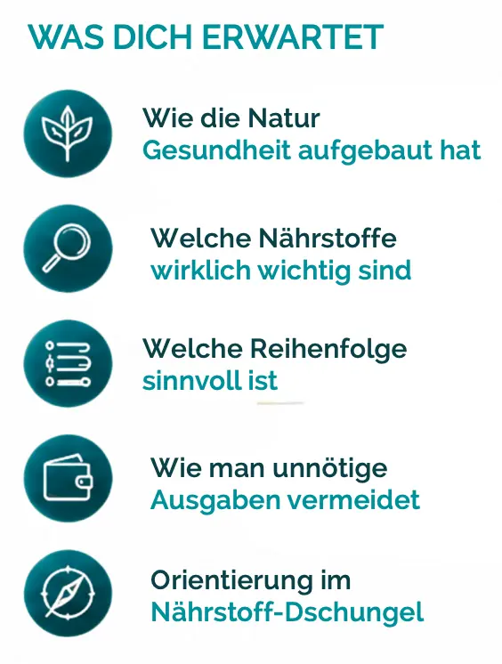Eventflyer Premium Paradox 10.06.26_QR